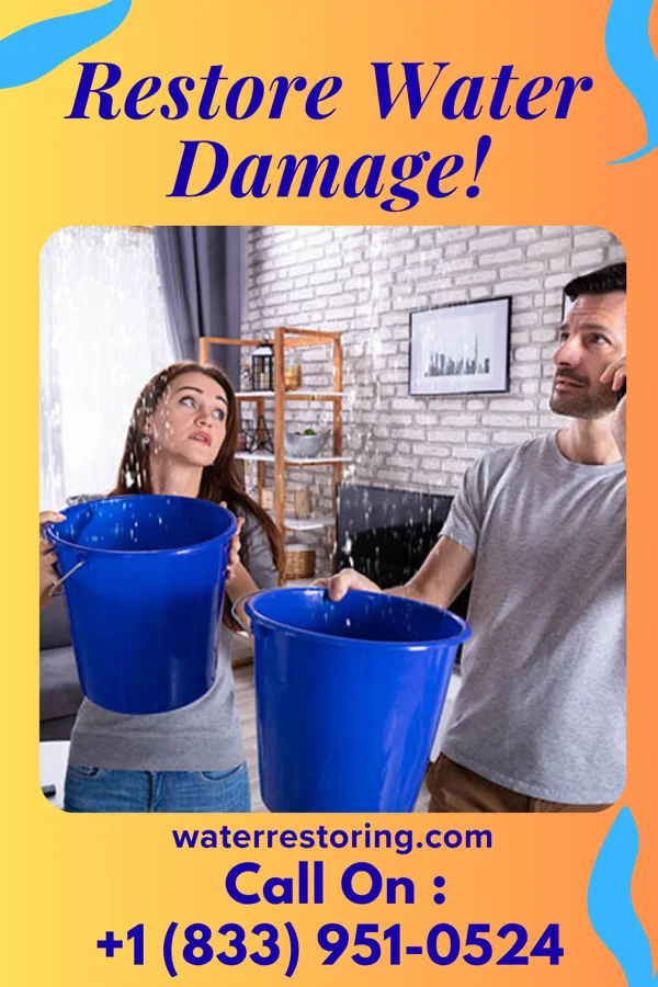 water restoration Empire Disaster Cleanup Company Ferndale